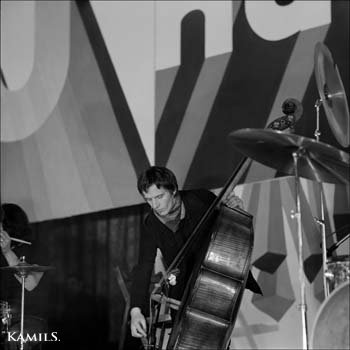 img435.jpg
